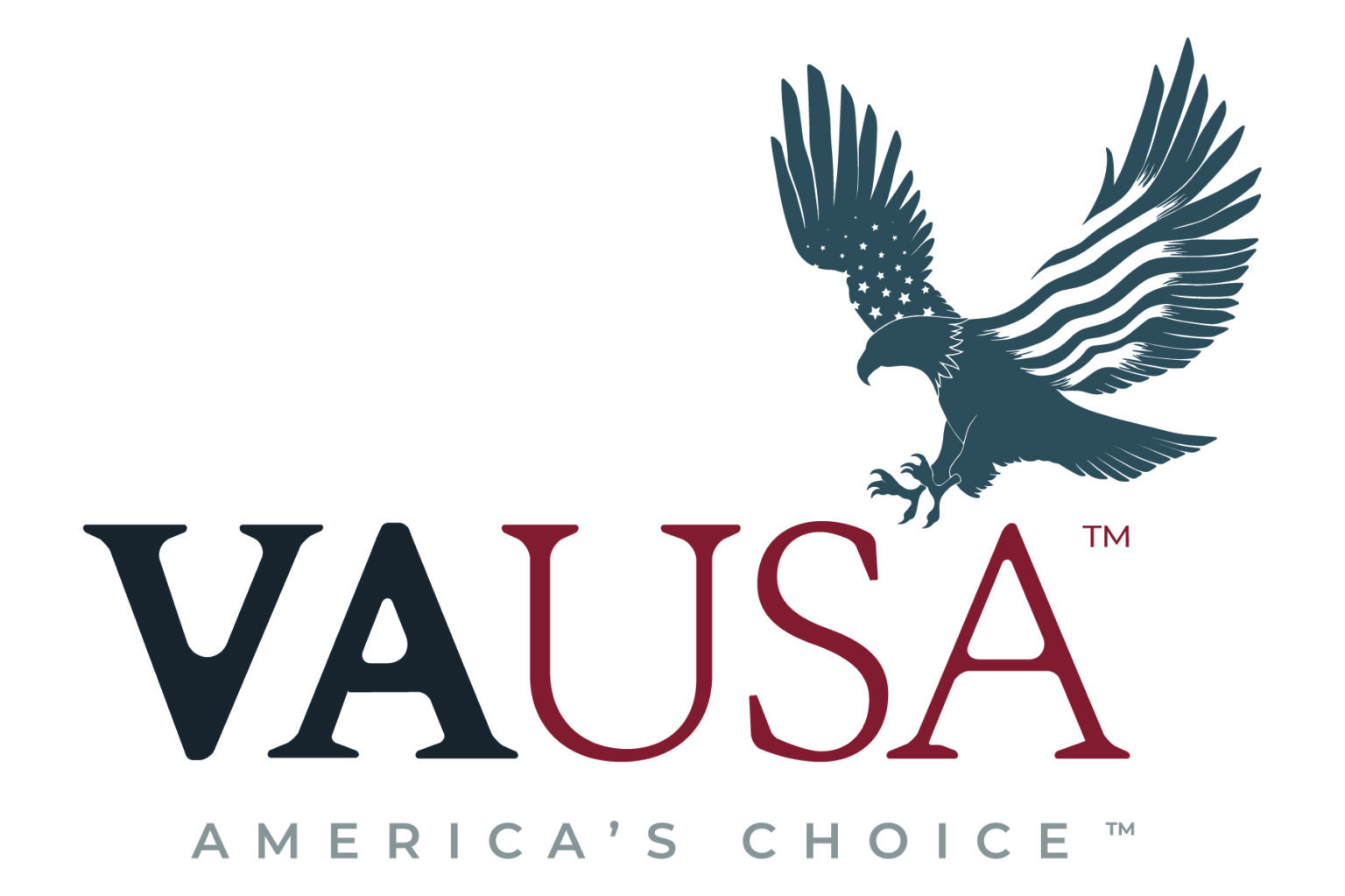 VAUSA™, Virtual Staffing Company Formerly Known As Patriot Advantage